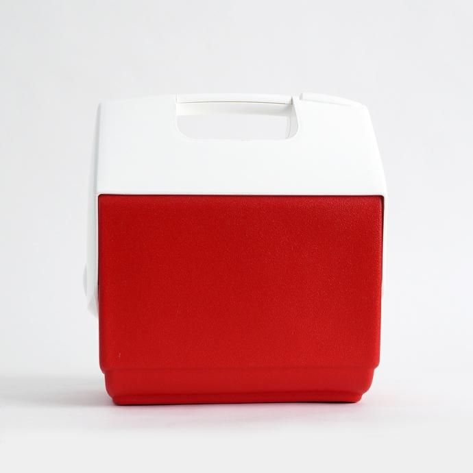 168091541 IGLOO イグルー / Playmate Pal - Red プレイメイトパル クーラーボックス 6L<img class='new_mark_img2' src='https://img.shop-pro.jp/img/new/icons47.gif' style='border:none;display:inline;margin:0px;padding:0px;width:auto;' /> 02
