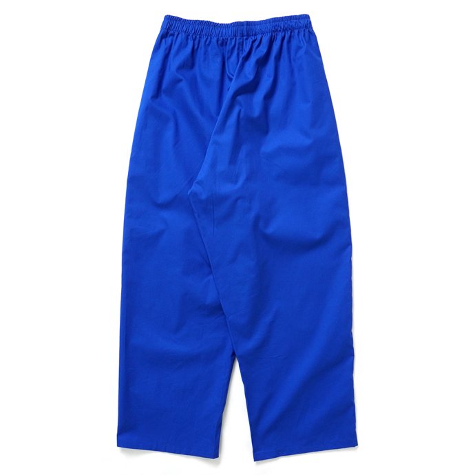 168927322 DG THE DRY GOODS / DG CHORE PANTS ѥ  ֥롼<img class='new_mark_img2' src='https://img.shop-pro.jp/img/new/icons47.gif' style='border:none;display:inline;margin:0px;padding:0px;width:auto;' /> 02