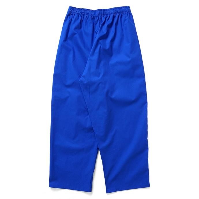 168927322 DG THE DRY GOODS / DG CHORE PANTS ѥ  ֥롼<img class='new_mark_img2' src='https://img.shop-pro.jp/img/new/icons47.gif' style='border:none;display:inline;margin:0px;padding:0px;width:auto;' /> 02