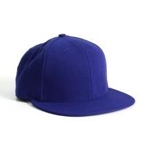 USNAP CAPS / The Authentic Cap add Extra Snap Tab - Royal ꥫʥåץХåå<img class='new_mark_img2' src='https://img.shop-pro.jp/img/new/icons47.gif' style='border:none;display:inline;margin:0px;padding:0px;width:auto;' />