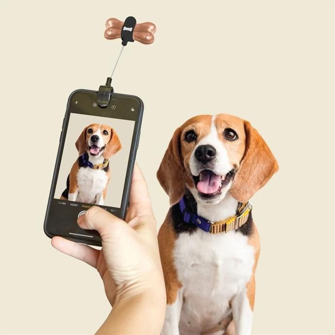 173368066 KIKKERLAND / Dog Treat Selfie Clip ドッグトリート セルフィークリップ 01