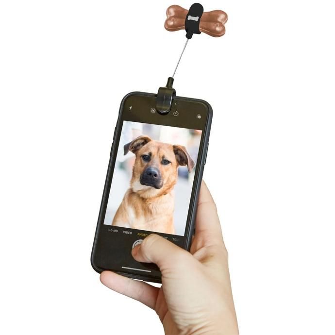 173368066 KIKKERLAND / Dog Treat Selfie Clip ドッグトリート セルフィークリップ 02