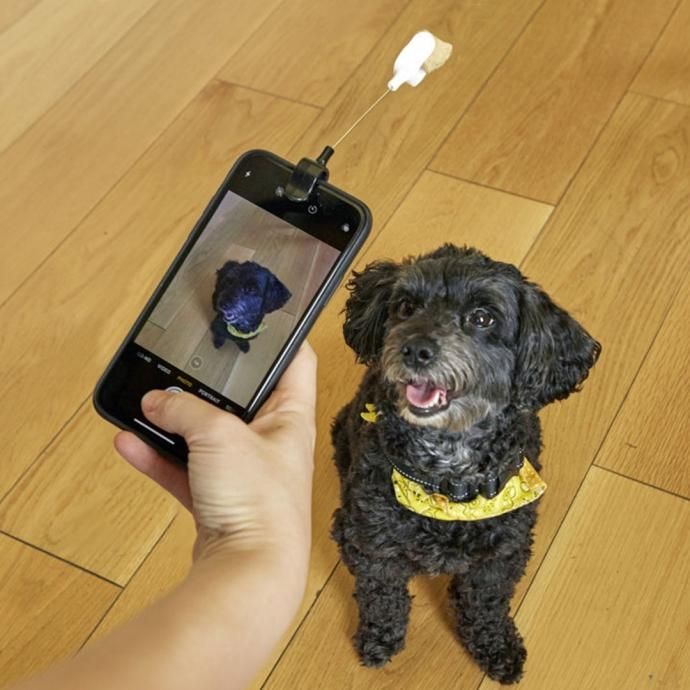 173368066 KIKKERLAND / Dog Treat Selfie Clip ドッグトリート セルフィークリップ 02