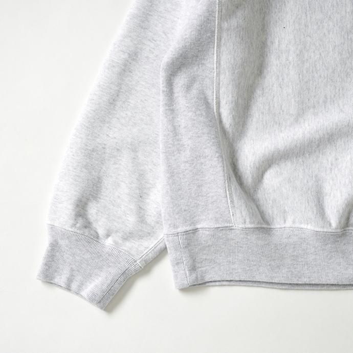 177377969 blurhms ROOTSTOCK / PRINT Sweat Crew-neck P/O Big - HeatherWhite x IT-M bROOTS23F26P 02