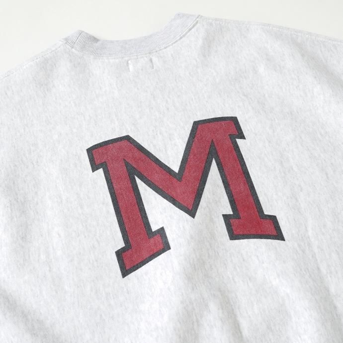 177377969 blurhms ROOTSTOCK / PRINT Sweat Crew-neck P/O Big - HeatherWhite x IT-M bROOTS23F26P 02