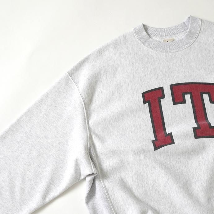 177377969 blurhms ROOTSTOCK / PRINT Sweat Crew-neck P/O Big - HeatherWhite x IT-M bROOTS23F26P 02