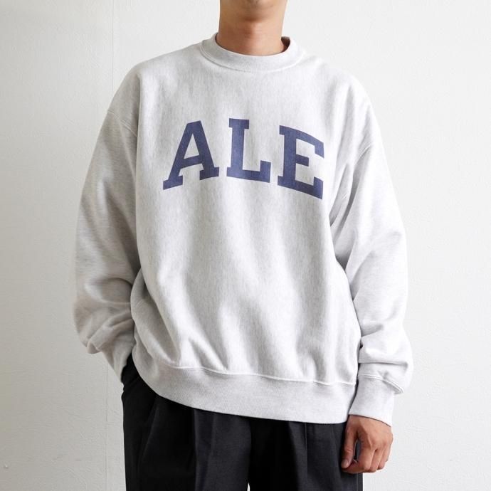 177377969 blurhms ROOTSTOCK / PRINT Sweat Crew-neck P/O Big - HeatherWhite x IT-M bROOTS23F26P 02