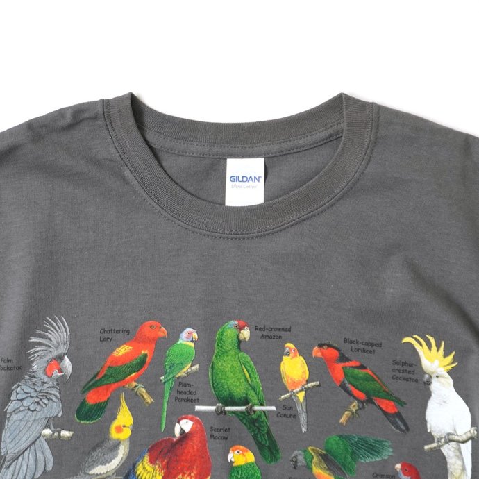 180488781 Atlas Screen Printing / Wild Cotton Tee / Ultimate Parrot Guide - Charcoal  ץT 02