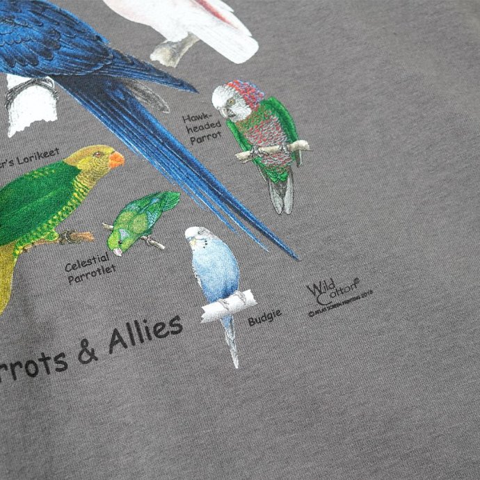 180488781 Atlas Screen Printing / Wild Cotton Tee / Ultimate Parrot Guide - Charcoal  ץT 02