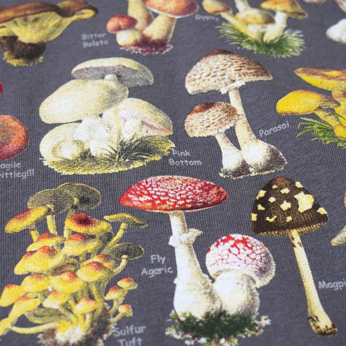 180488807 Atlas Screen Printing / Wild Cotton Tee / Ultimate Mushroom Guide - Charcoal Υ ץT<img class='new_mark_img2' src='https://img.shop-pro.jp/img/new/icons47.gif' style='border:none;display:inline;margin:0px;padding:0px;width:auto;' /> 02