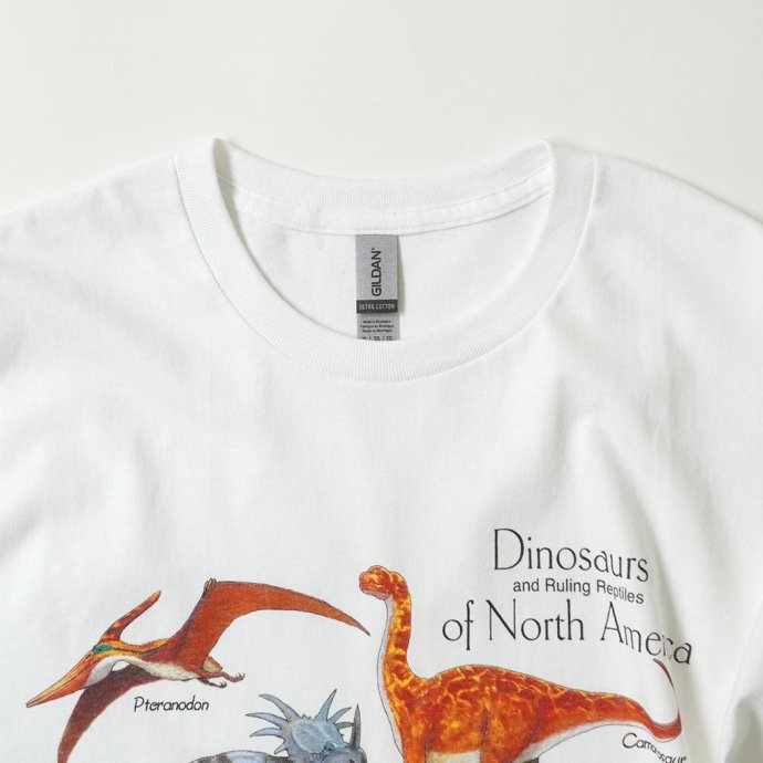 180488821 Atlas Screen Printing / Wild Cotton Tee / Dinosaurs of North America - White ε ץT<img class='new_mark_img2' src='https://img.shop-pro.jp/img/new/icons47.gif' style='border:none;display:inline;margin:0px;padding:0px;width:auto;' /> 02