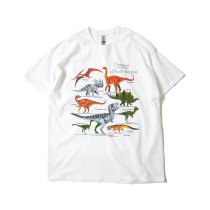 Atlas Screen Printing / Wild Cotton Tee / Dinosaurs of North America - White ε ץT<img class='new_mark_img2' src='https://img.shop-pro.jp/img/new/icons47.gif' style='border:none;display:inline;margin:0px;padding:0px;width:auto;' />