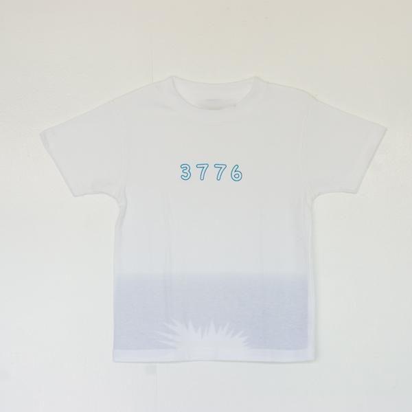 富士山⁇譲ります Fuji T (めくると富士山が現れるTシャツ) - goodbymarket