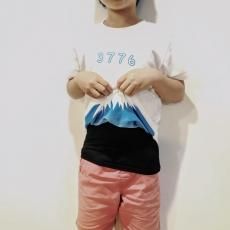 Fuji T (めくると富士山が現れるTシャツ) - goodbymarket