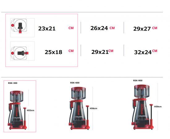 2019年03月の記事 | イーストアフリカ 海水魚/無脊椎 入荷・特売情報