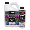 Coral Essentials CVE+ ʥ֥ץ饹