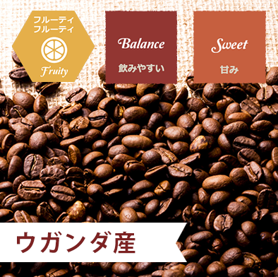 ウガンダ アフリカンムーン ドンキー ナチュラル - 自家焙煎コーヒー豆とドリップパックのお店 -なごやビーンズ(名古屋)-
