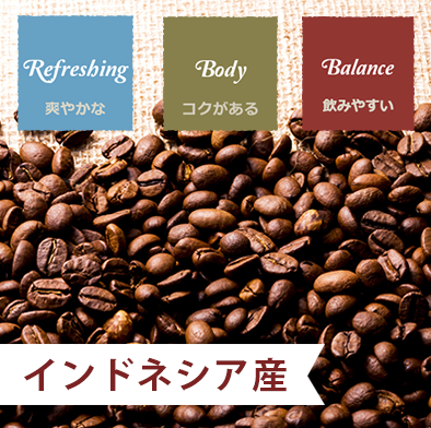 自家焙煎珈琲⭐︎珈琲豆 トラジャ トラジャ - 自家焙煎コーヒー豆とドリップパックのお店 -なごや
