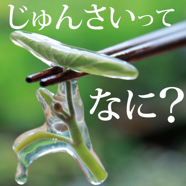 生じゅんさい200g！手摘みの新鮮なじゅんさいを秋田県三種町から販売！産地直送！お取り寄せ！ | じゅんさいときりたんぽ安藤食品