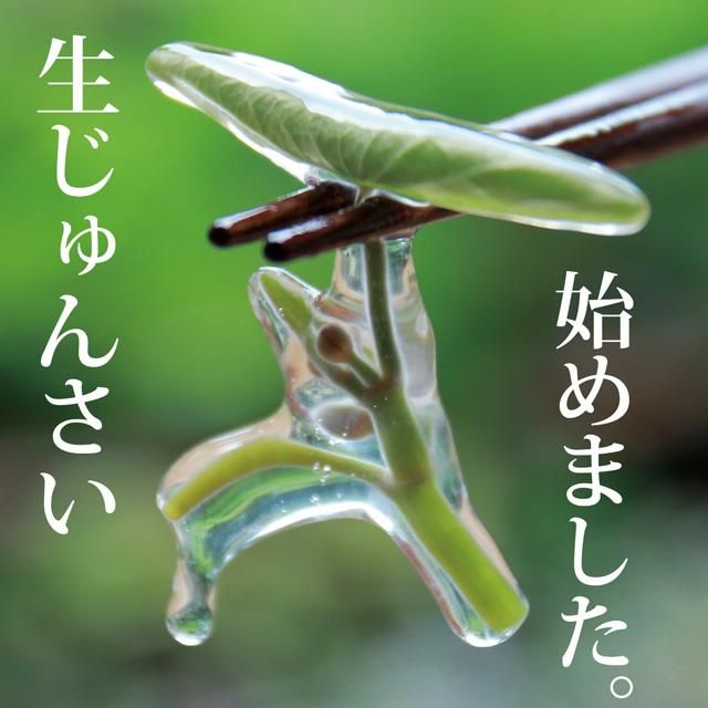 󤵤桪