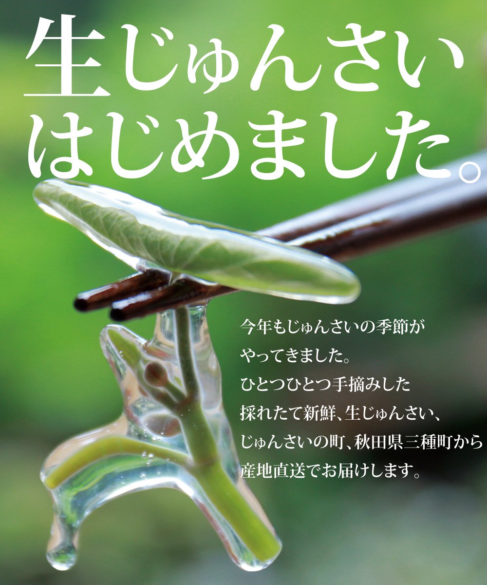 生じゅんさいを産地直送で販売。じゅんさいの町、秋田県三種町からお取り寄せ！| じゅんさいときりたんぽの安藤食品