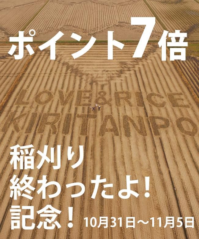 𴢤꽪ä赭ǰݥ7ܥڡ