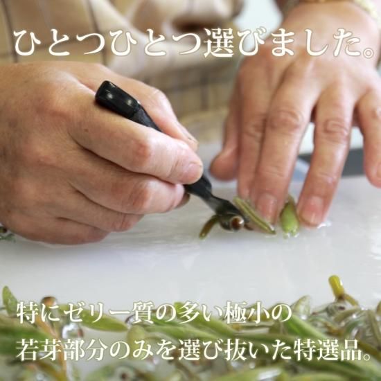 特選】じゅんさい水煮瓶詰め2本箱入 - じゅんさいときりたんぽ｜安藤食品