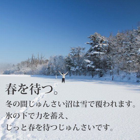 なお様 農地直送 秋田県三種町 翡翠生じゅんさい 5キロ a ☆終売品