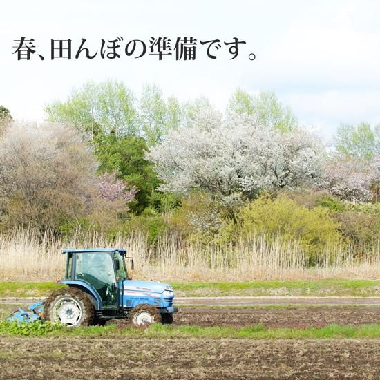 新米あきたこまち白米3kg【令和6年(2024年)秋収穫 新米あきたこまち白米3kg【令和6年(2024年)秋収穫