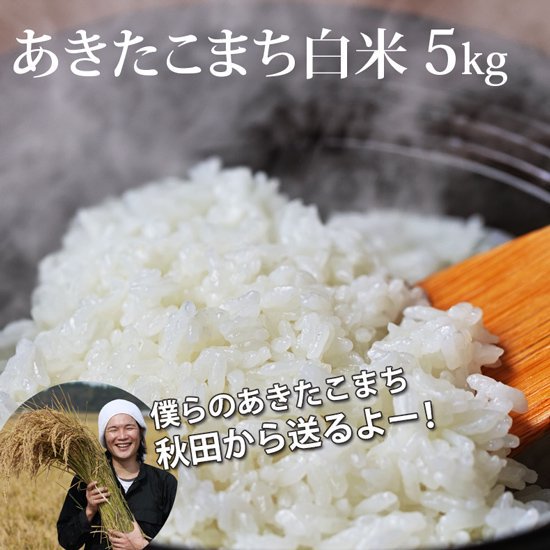 新米5年産山形あきたこまち白米30k(1０k×3) 雑貨貴重 - fin-all.net