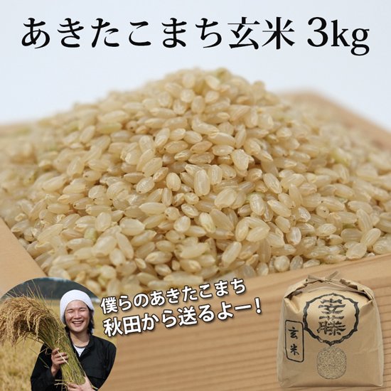 新米あきたこまち玄米3kg【令和５年（2023年）秋収穫】