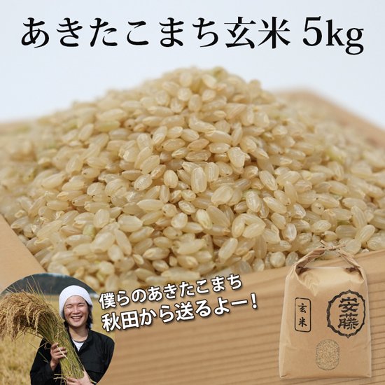 新米あきたこまち玄米5kg【令和5年（2023年）秋収穫】- じゅんさいと