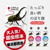 Τܤ ɸܡŸ¨񡦺Ÿ Τܤ