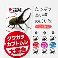 Τܤ ֥ȥॷ塞κ Τܤ