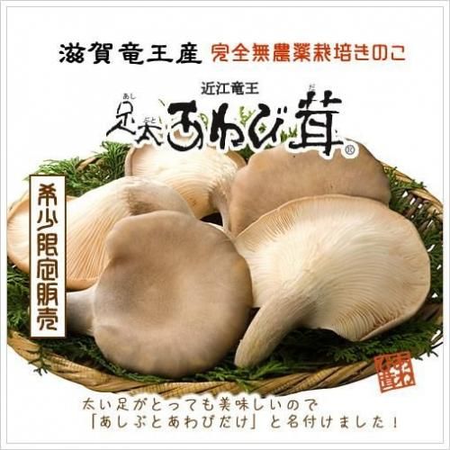 ­200礪ѥåʼε