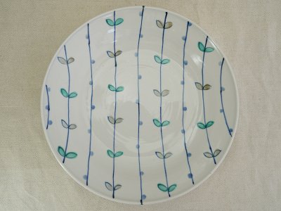 九谷青窯　色絵葉と実　9.5寸深皿
