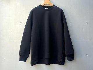 <img class='new_mark_img1' src='https://img.shop-pro.jp/img/new/icons14.gif' style='border:none;display:inline;margin:0px;padding:0px;width:auto;' />NO CONTROL AIRSpringy double Knit pullover
