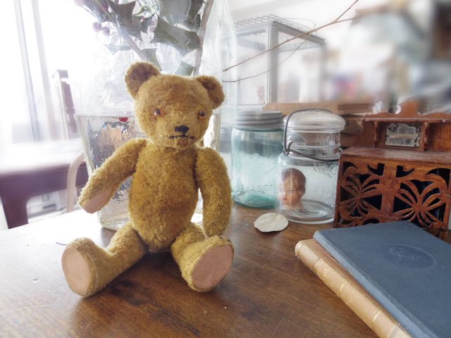 ハンガリー テディベアー プラスチックアイ イエロー hungary teddy 