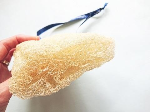 植物スポンジ 身体 食器野菜洗い お掃除にも Lifo Plus Greeceヘチマスポンジ Mies Online Shop Select Shop ミース 植物スポンジ 身体 食器野菜洗い お掃除にも Lifo Plus Greeceヘチマスポンジ Mies Online Shop Select Shop ミース