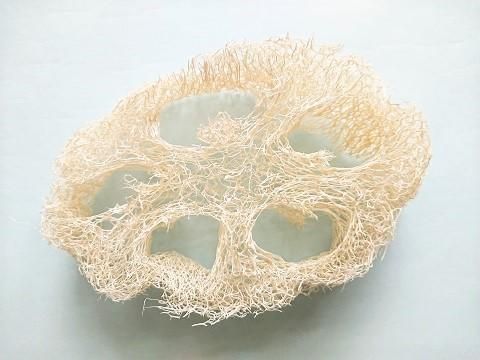 植物スポンジ 身体 食器野菜洗い お掃除にも Lifo Plus Greeceヘチマスポンジ Mies Online Shop Select Shop ミース 植物スポンジ 身体 食器野菜洗い お掃除にも Lifo Plus Greeceヘチマスポンジ Mies Online Shop Select Shop ミース