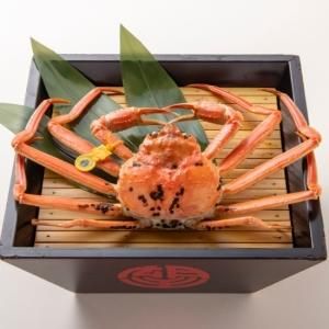    ۡ500g600g顡1120ޤǤȯ