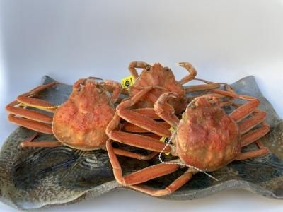 񾮡3եåȡ1120ޤǤȯ