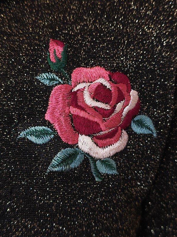 薔薇刺繍♪きらきらラメレトロシャツ -