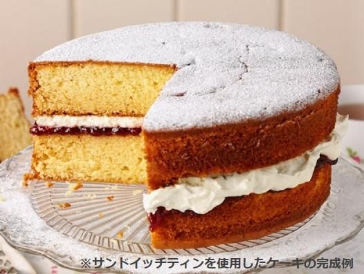 英キッチンブランド・タラ社 サンドイッチティン・ケーキ型 18