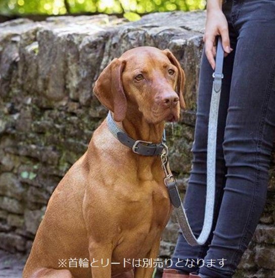 犬 ストア 首輪イギリス