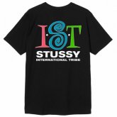 <img class='new_mark_img1' src='https://img.shop-pro.jp/img/new/icons15.gif' style='border:none;display:inline;margin:0px;padding:0px;width:auto;' />STUSSY <BR>Ist Tee(BLACK)