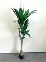 <{$productlist[num].name}>
