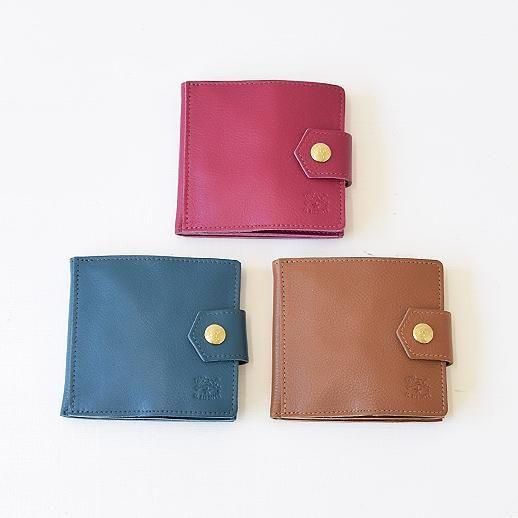 IL BISONTEʥӥơ [߿]޺ۡseason color54252309841