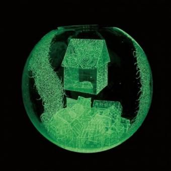 トクマルシューゴ Port Entropy レコード LP レコード