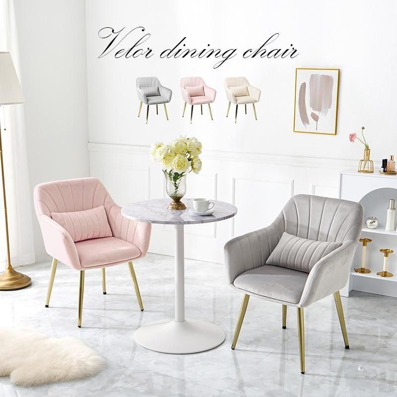 チェア - ジェニファーテイラーとアンティーク・ロココ調家具の